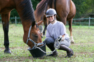 Soaking Hay for Horses
